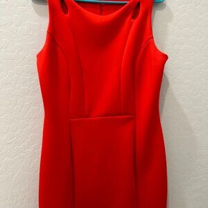 Tahari Women’s Fitted Sheath Dress (NWOT)– Size 8
